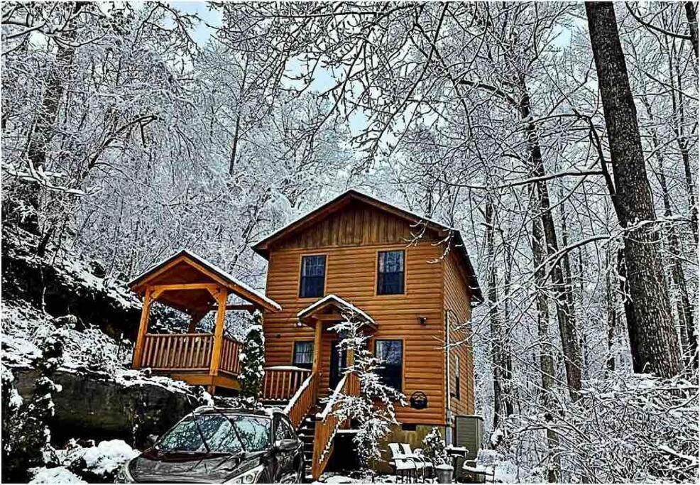 Permanent Vacation-Private Honeymoon Cabin With Hot Tub 塞维尔维尔 外观 照片